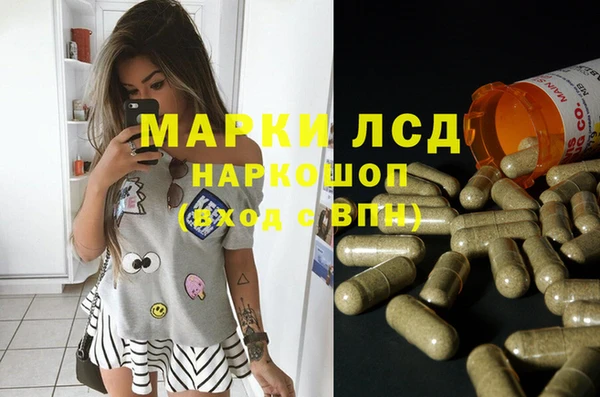 spice Володарск